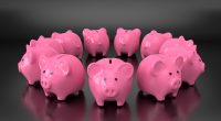 Embedded insurance for e-commerce - Euro Media