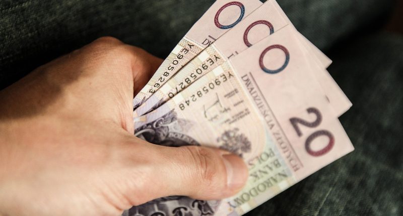 Early retirement calculators for freelancers - Euro Media